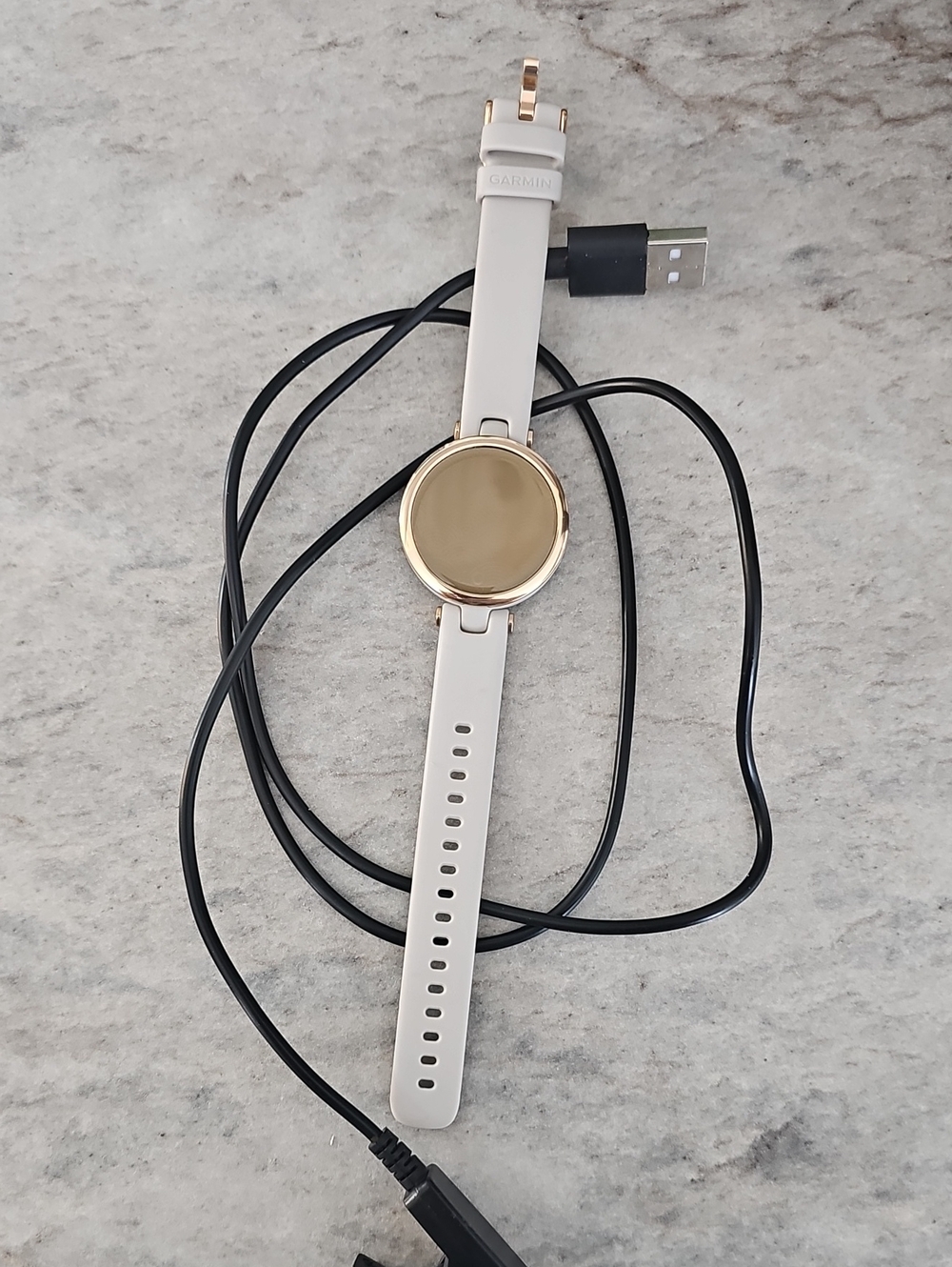 Garmin Lily  -  Band with Gold Case